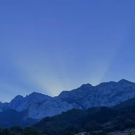 Basiver - Pico Samelar Armano