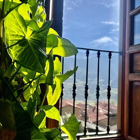 Country house Basiver - Pico Samelar Armano