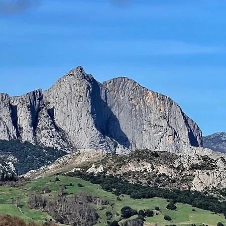 Basiver - Pico Samelar *