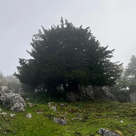 Basiver - Pico Samelar Country house