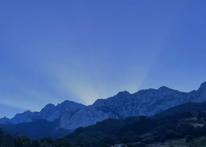 Basiver - Pico Samelar Armano