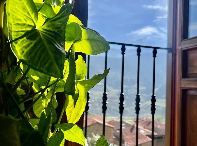 Gospodarstwo wiejskie Basiver - Pico Samelar Armano