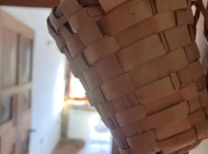 Basiver - Pico Samelar Armano