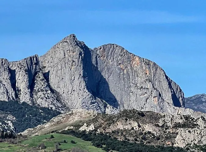 Basiver - Pico Samelar *